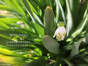 春の来ない冬。